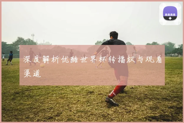 深度解析优酷世界杯转播权与观看渠道