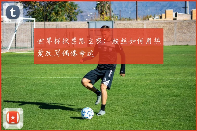 世界杯投票陈立农：粉丝如何用热爱改写偶像命运