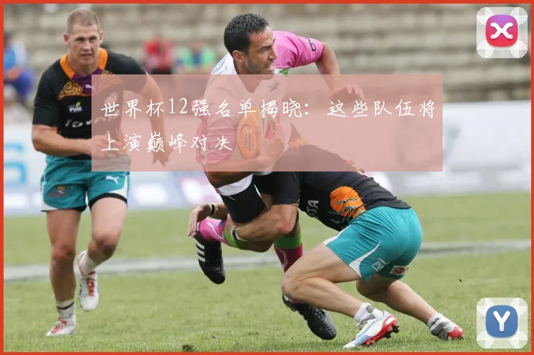 世界杯12强名单揭晓：这些队伍将上演巅峰对决