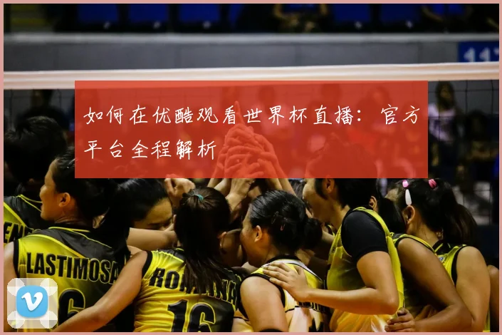 如何在优酷观看世界杯直播：官方平台全程解析