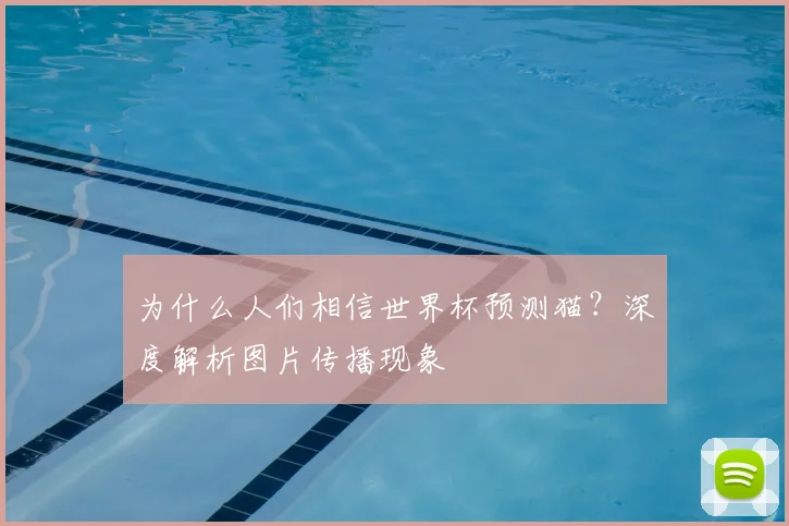为什么人们相信世界杯预测猫?深度解析图片传播现象