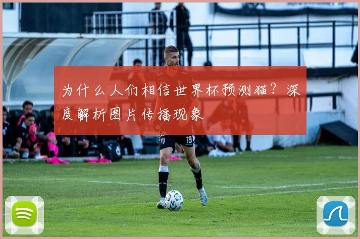 为什么人们相信世界杯预测猫?深度解析图片传播现象