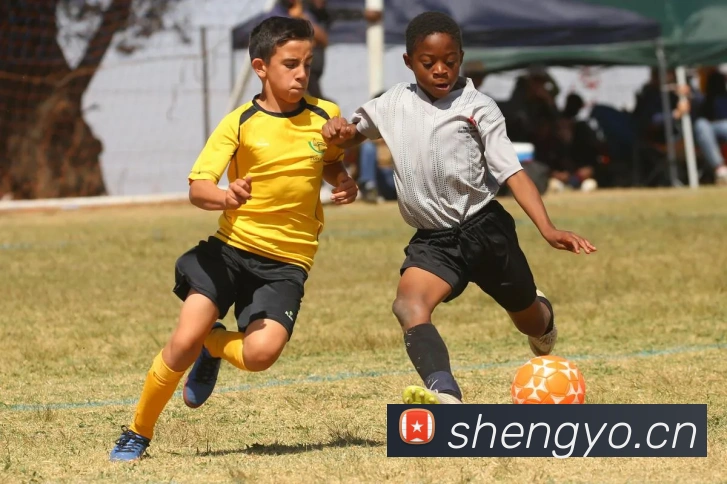 爱游戏ayx正版入口APP 封面图